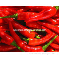 Paprika Oleoresin / Red Food Pigment